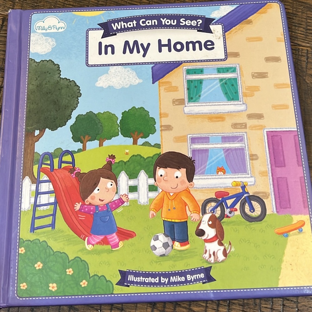 Look & Find In my home kids book